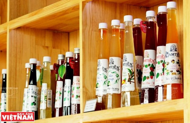 Trải nghiệm du lịch nông nghiệp trong “chiếc hộp xanh” ở Đà Lạt ảnh 16