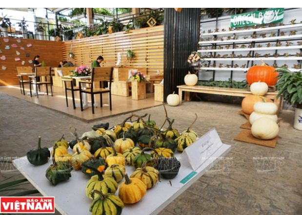 Trải nghiệm du lịch nông nghiệp trong “chiếc hộp xanh” ở Đà Lạt ảnh 7