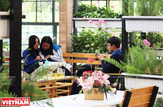 Trải nghiệm du lịch nông nghiệp trong “chiếc hộp xanh” ở Đà Lạt ảnh 4