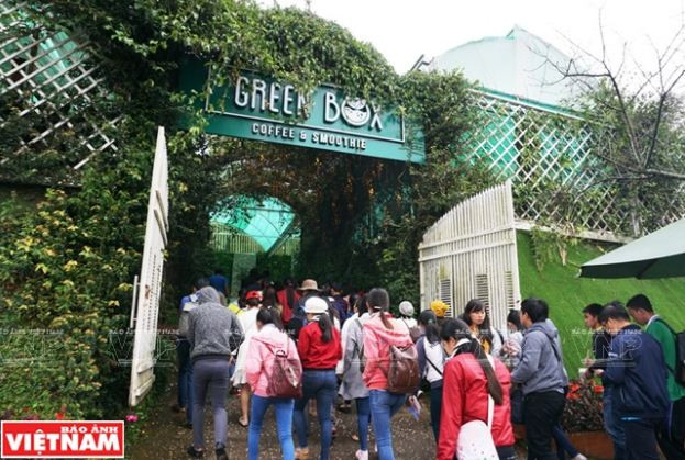 Trải nghiệm du lịch nông nghiệp trong “chiếc hộp xanh” ở Đà Lạt ảnh 1