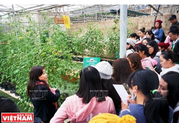 Trải nghiệm du lịch nông nghiệp trong “chiếc hộp xanh” ở Đà Lạt ảnh 9