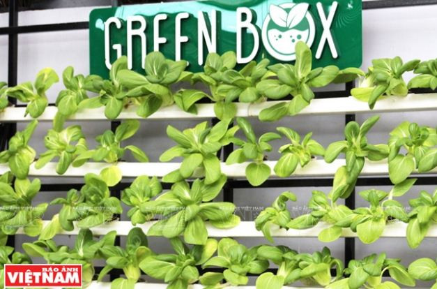 Trải nghiệm du lịch nông nghiệp trong “chiếc hộp xanh” ở Đà Lạt ảnh 3