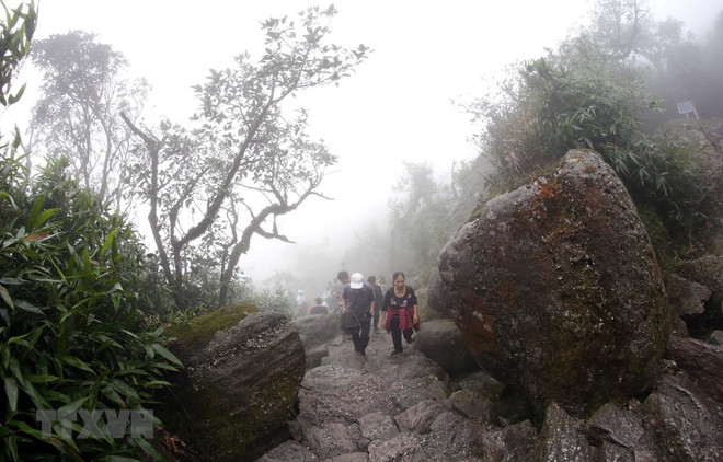 Hoàn thành công trình đường vào Khu di tích quốc gia đặc biệt Yên Tử ảnh 1