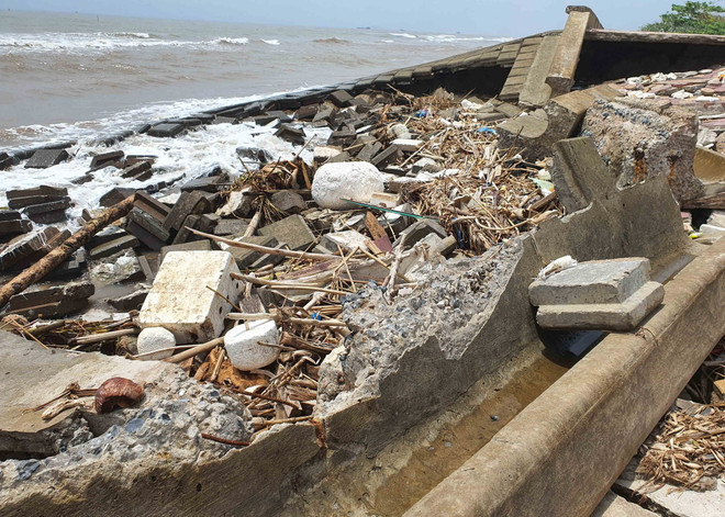 Cần sớm khắc phục sự cố sạt kè khu sinh thái biển Nam Định ảnh 1