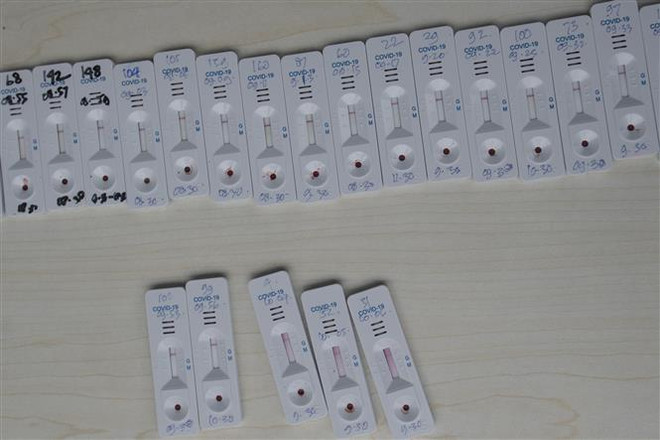 ASEAN tạo điều kiện thuận lợi cho dòng chảy thương mại hàng thiết yếu ảnh 1