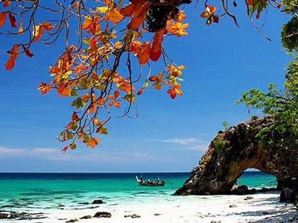 Satun chú trọng công tác quản lý tài nguyên thiên nhiên ảnh 1