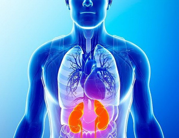 Số người Australia điều trị thận tăng gấp đôi trong 20 năm qua ảnh 1