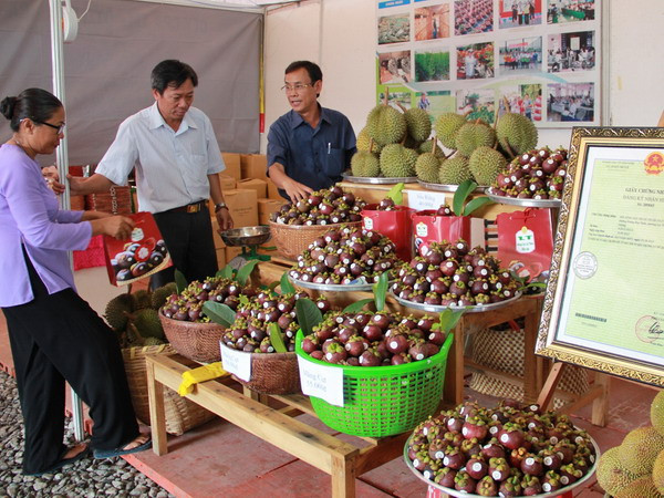 Phát triển và giữ vững thương hiệu đặc sản măng cụt Lái Thiêu ảnh 1