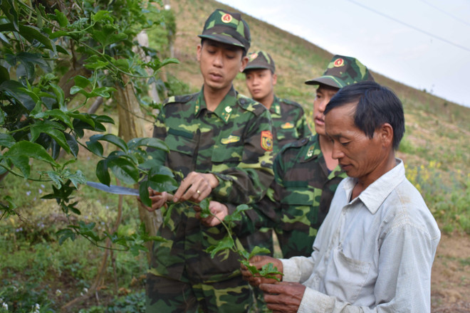 Bộ đội Biên phòng chung tay đưa vùng biên Lóng Sập phát triển ảnh 2