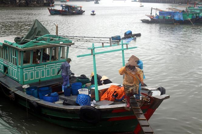 Ngày 8/8, áp thấp nhiệt đới sẽ suy yếu dần thành một vùng áp thấp ảnh 1