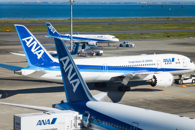 Máy bay của hãng hàng không ANA. (Nguồn: japantimes) Bác tin máy bay từ Nhật về Việt Nam quay đầu vì bị từ chối nhập cảnh ảnh 1