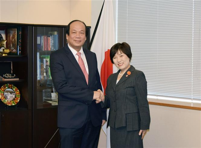 Nhật Bản hỗ trợ Việt Nam triển khai chính phủ điện tử ảnh 3