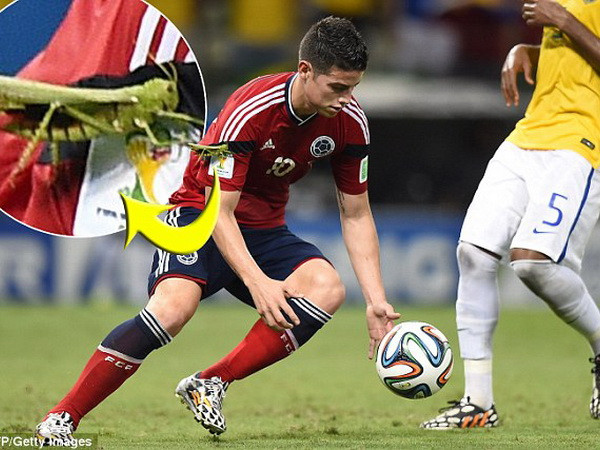 James Rodriguez bị châu chấu đậu lên người khi sút phạt đền ảnh 2