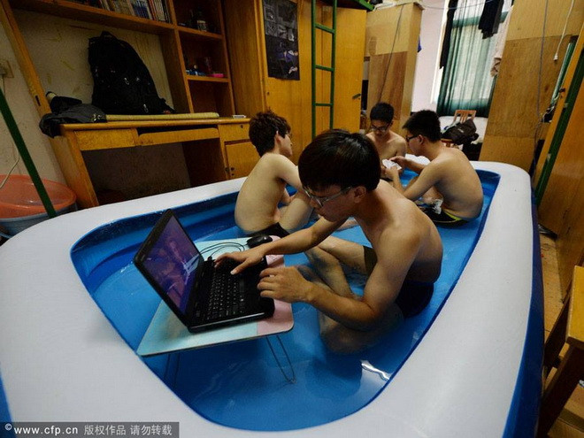 Sinh viên đặt bể bơi ngay giữa phòng ký túc xá để chống nóng ảnh 1