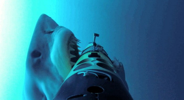 Cận cảnh hàm răng khủng khiếp của cá mập trắng khi đớp mồi ảnh 1