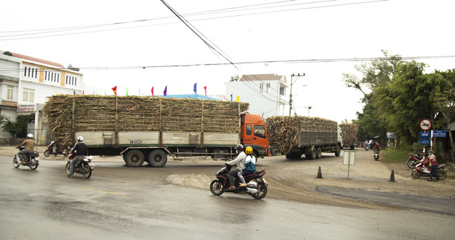 Gia Lai: Báo động tình trạng xe chở nguyên liệu mía quá khổ, quá tải ảnh 2