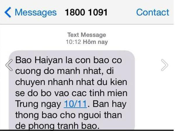 "Nhà mạng không hề định lợi dụng bão để kinh doanh" ảnh 1