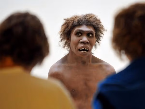 Các nhà khoa học công bố phát hiện mới về người Neanderthal ảnh 1