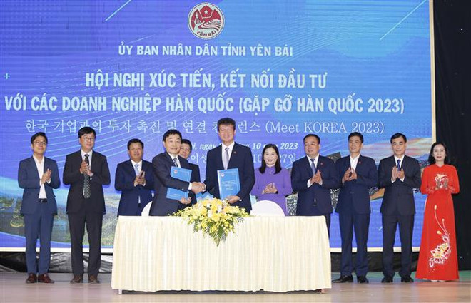 Yên Bái giới thiệu tiềm năng, thế mạnh thu hút doanh nghiệp Hàn Quốc ảnh 1
