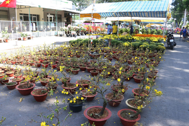 Sức mua nhiều ngành hàng Tết tăng cao tại Thành phố Hồ Chí Minh ảnh 1