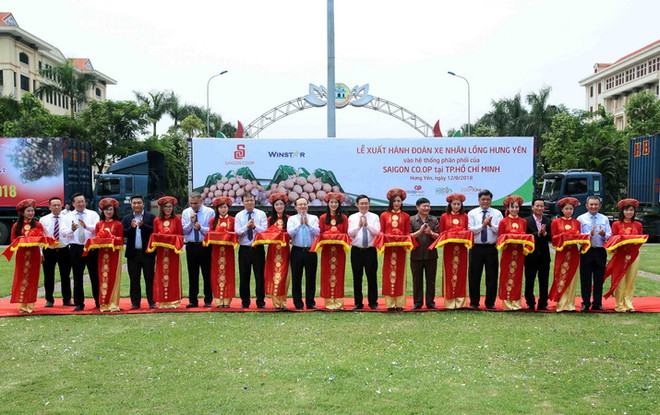 Nhãn lồng đưa Hưng Yên trở thành 'ngôi sao' về thu-chi ngân sách ảnh 3