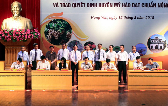 Nhãn lồng đưa Hưng Yên trở thành 'ngôi sao' về thu-chi ngân sách ảnh 2