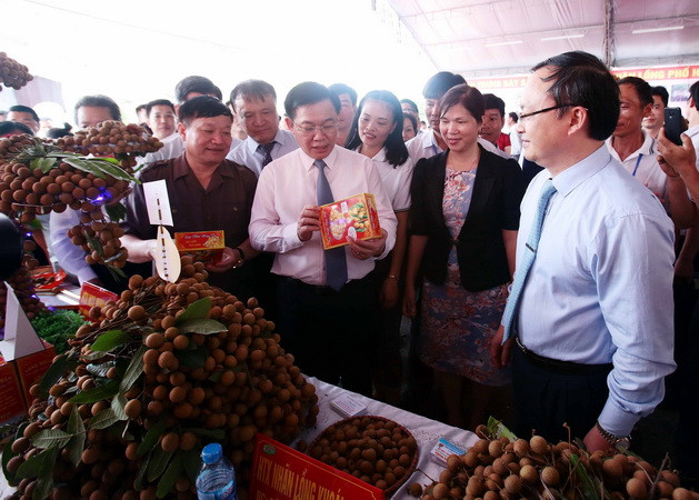 Nhãn lồng đưa Hưng Yên trở thành 'ngôi sao' về thu-chi ngân sách ảnh 1