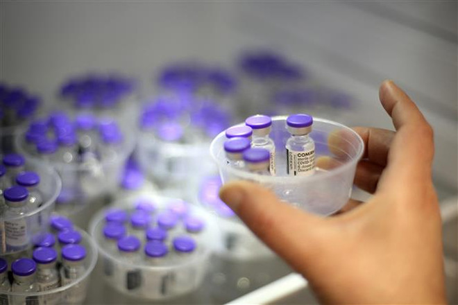 Vaccine phòng COVID-19 của Pfizer-BioNTech. (Ảnh: AFP/TTXVN) Pfizer thúc đẩy nỗ lực điều chế vaccine COVID-19 cho trẻ dưới 5 tuổi ảnh 1