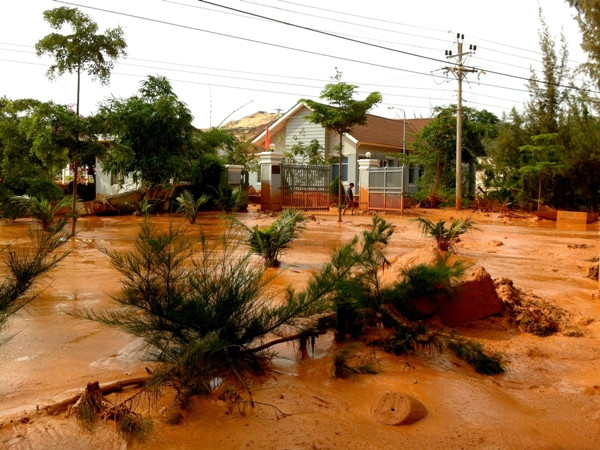 Nhà báo Việt Nam hướng tới Giải báo chí môi trường châu Á ảnh 1