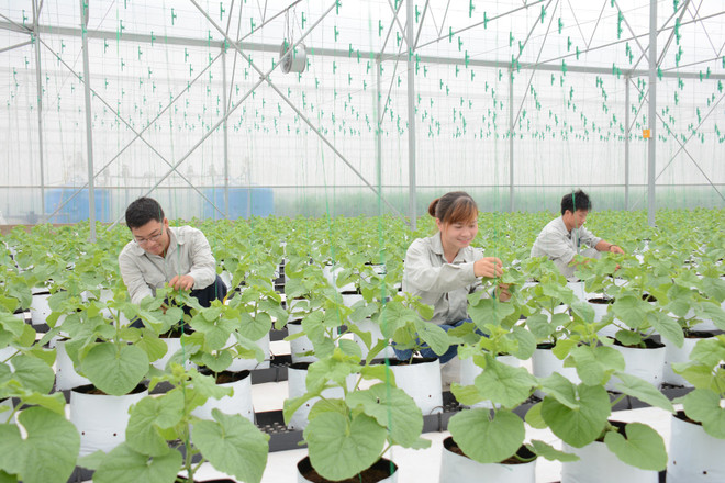 Doanh thu tăng 92%, PAN nâng tổng tài sản lên 9.438 tỷ đồng ảnh 1