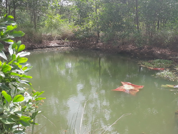 Quảng Ngãi: Hai học sinh chết đuối vì trượt chân vào vũng nước sâu ảnh 1