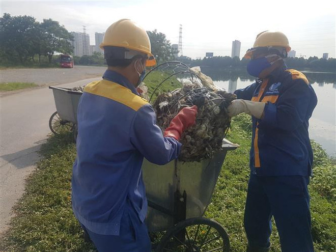 Hà Nội: Cá chết nổi trắng hồ Yên Sở, mùi hôi thối lan rộng ảnh 1