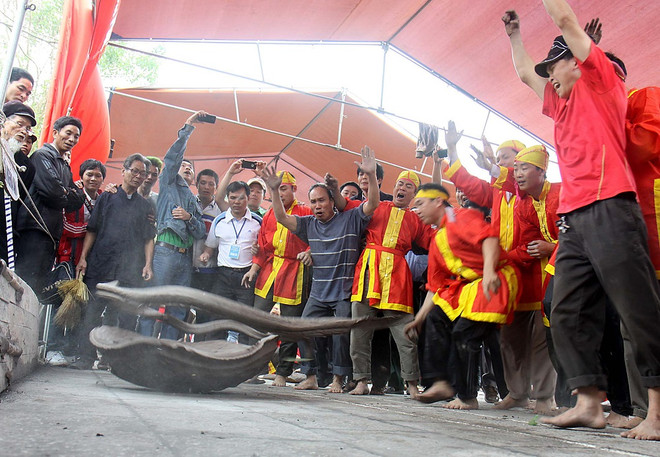 Kỳ thú lễ hội pháo đất, chọi trâu cổ nhất Việt Nam ảnh 2