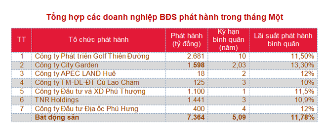 (Nguồn: SSI) Tháng Một: Doanh nghiệp bất động sản đẩy mạnh phát hành trái phiếu ảnh 2