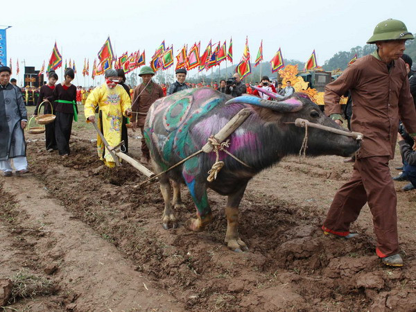 Đông đảo người dân dự lễ hội Tịch điền - Đọi Sơn ảnh 1