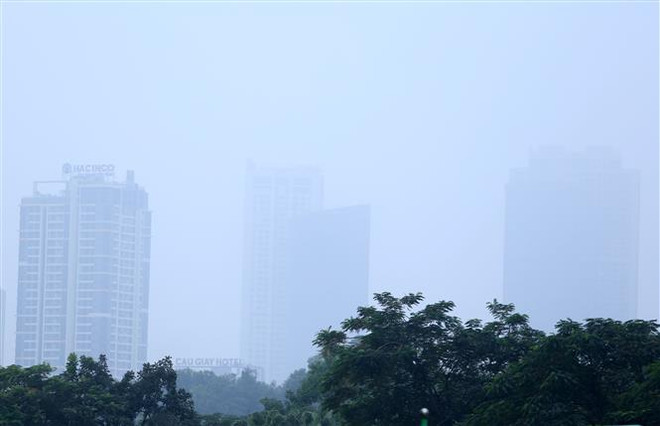 TP.HCM: Thu hồi xe máy cũ nát để kiểm soát khí thải liệu có khả thi? ảnh 2