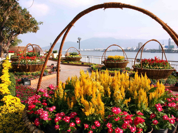 Đường hoa Xuân Đà Nẵng chính thức mở cửa phục vụ công chúng ảnh 1