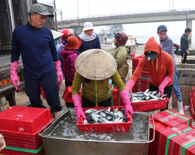 Phát triển bền vững kinh tế biển trên nền tảng tăng trưởng xanh ảnh 1