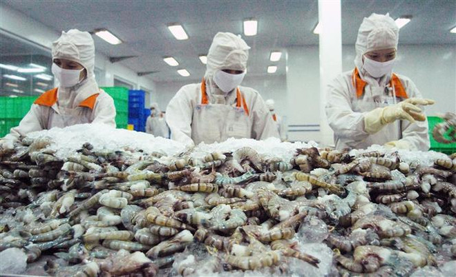 Khuyến nghị chưa nên tăng lương tối thiểu vùng năm 2021 ảnh 2