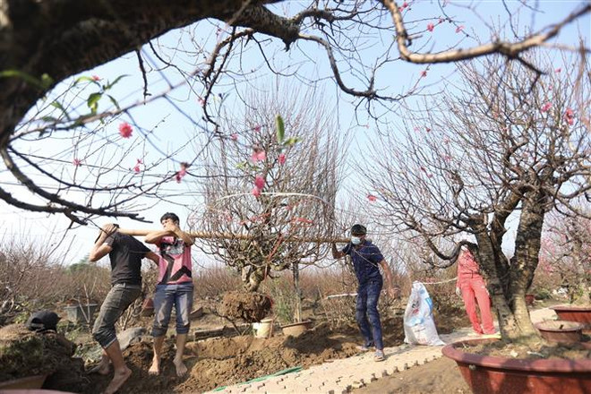 Thời tiết các khu vực trên cả nước trong dịp Tết Nhâm Dần 2022 ảnh 1