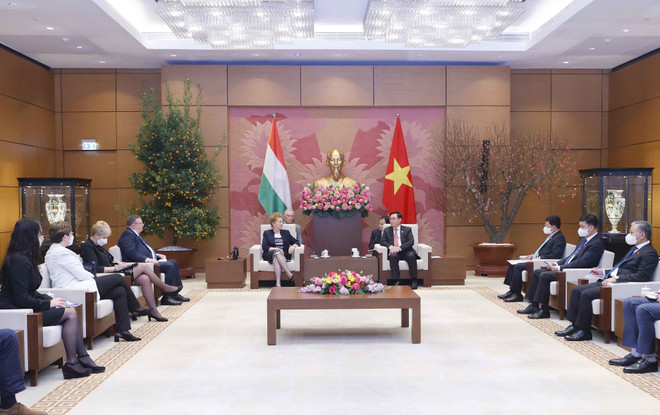 Chủ tịch Quốc hội tiếp Phó Chủ tịch thứ nhất Quốc hội Hungary ảnh 2