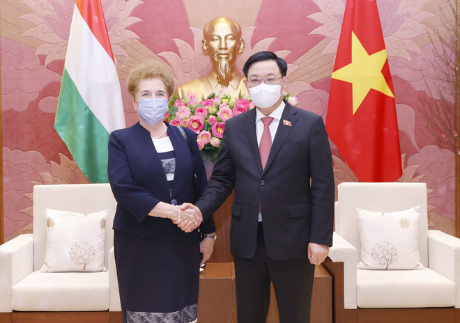 Chủ tịch Quốc hội tiếp Phó Chủ tịch thứ nhất Quốc hội Hungary ảnh 1