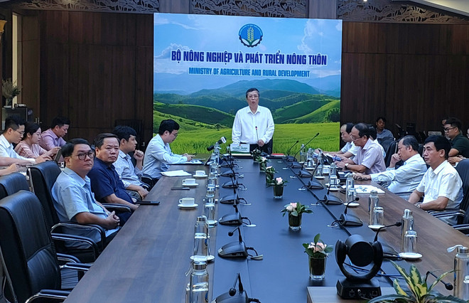 TTXVN_1709 xuat khau dua 1.jpg