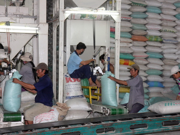 Chính phủ mua tạm trữ 1 triệu tấn gạo ở Đồng bằng sông Cửu Long ảnh 1