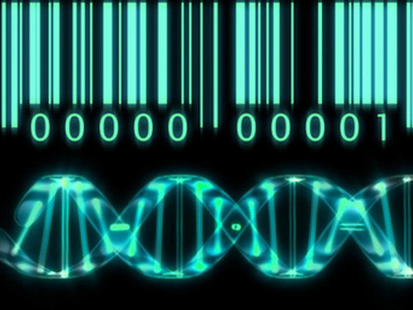 Việt Nam phân tích thành công hệ gen của một gia đình người Việt ảnh 1