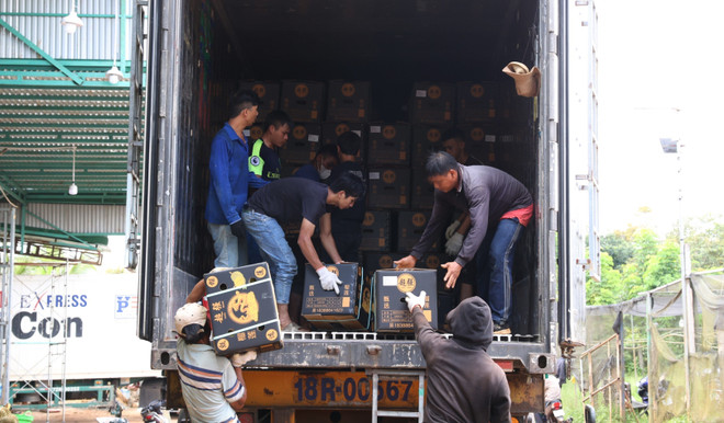 Giải pháp nào cho phát triển bền vững cây sầu riêng ở Đắk Lắk? ảnh 3