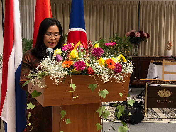 Đại sứ quán Việt Nam tại Hà Lan tổ chức gặp gỡ bạn bè quốc tế ảnh 1