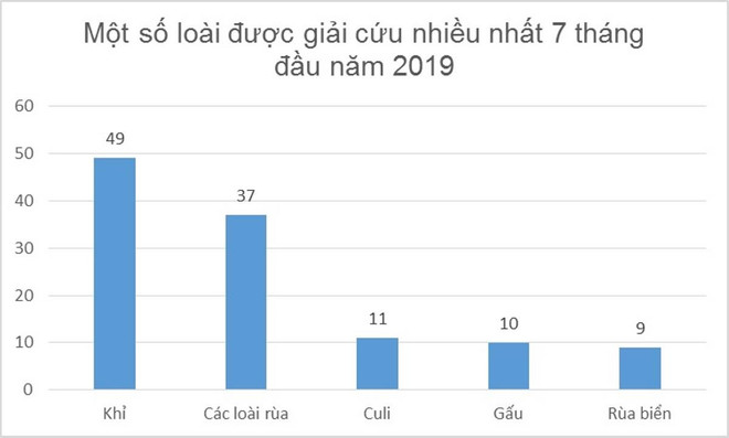 ENV cứu hộ 146 cá thể động vật hoang dã từ đầu năm 2019 ảnh 3