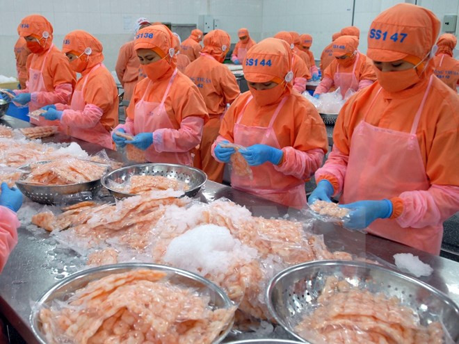 Xuất khẩu thủy sản dự báo sẽ "tăng tốc" từ Hiệp định TPP ảnh 1