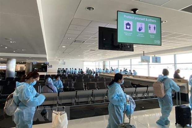 Dịch COVID-19: Đưa gần 280 công dân Việt Nam từ châu Âu về nước ảnh 1